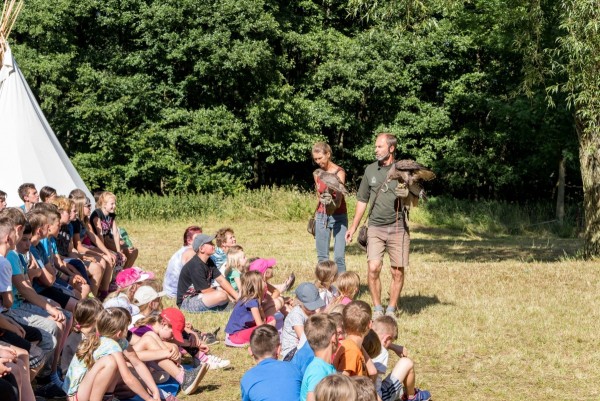 dsc_9070_20180705_1347992511